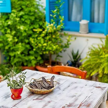 Bed & Breakfast Cypriot Swallow Boutique