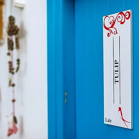 Cypriot Swallow Boutique Panzió Nicosia