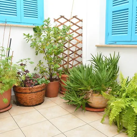 Cypriot Swallow Boutique 4*