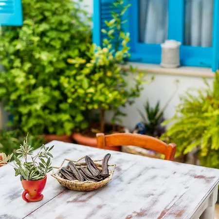 Couette-café Cypriot Swallow Boutique