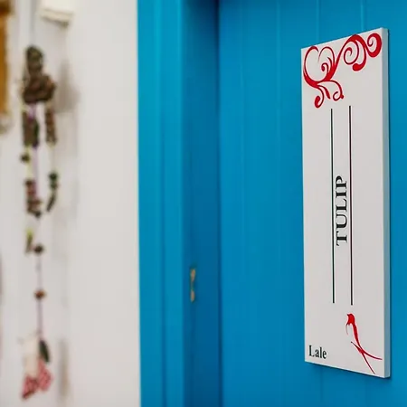 Cypriot Swallow Boutique Отель типа 