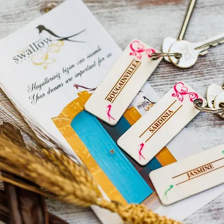 Cypriot Swallow Boutique 3*