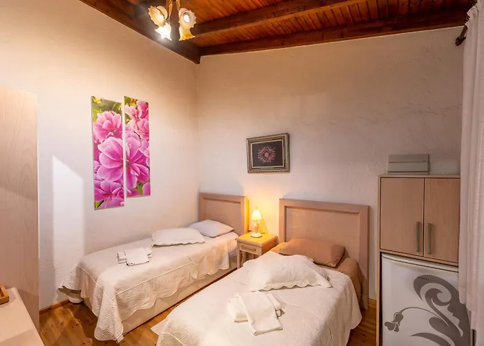 Cypriot Swallow Boutique Bed and breakfast Nicosia