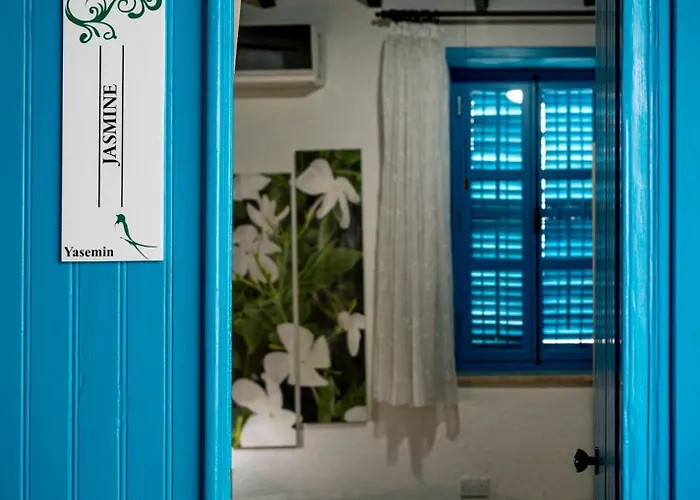 Bed and breakfast Cypriot Swallow Boutique