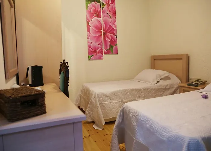 Cypriot Swallow Boutique Bed and breakfast