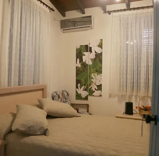 Cypriot Swallow Boutique Bed and breakfast Nicosia