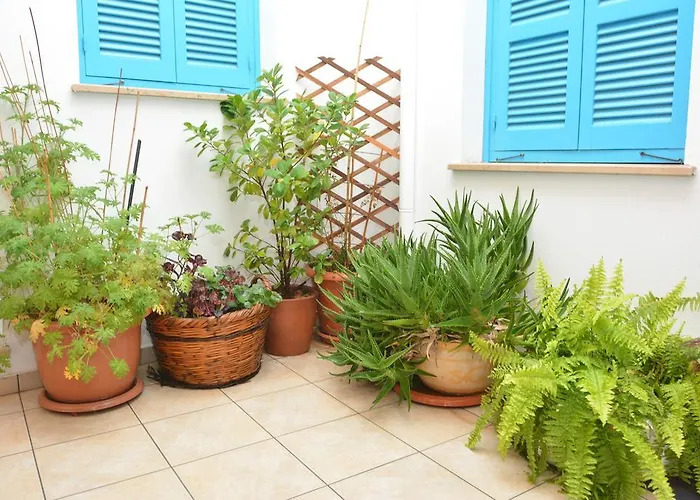 Cypriot Swallow Boutique 4*