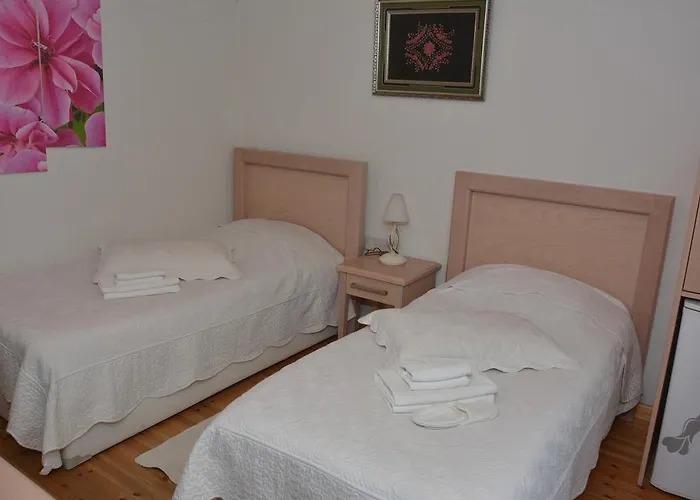 Cypriot Swallow Boutique Bed and breakfast Nicosia