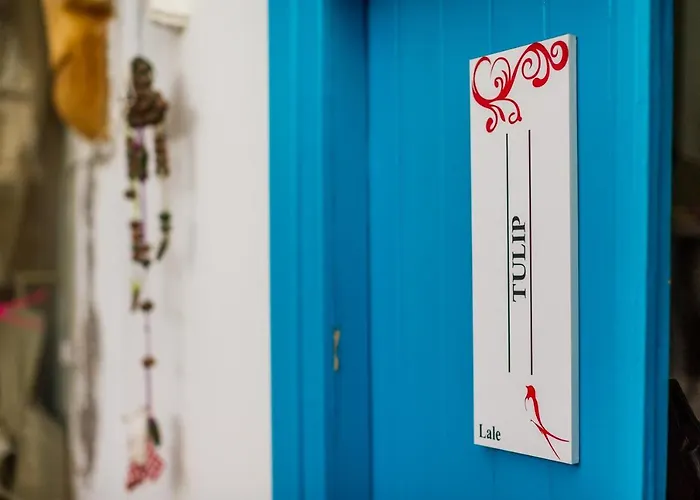 Cypriot Swallow Boutique Bed and breakfast