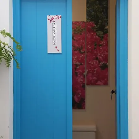 塞浦路斯燕子精品住宿加早餐旅馆 住宿加早餐酒店 4*