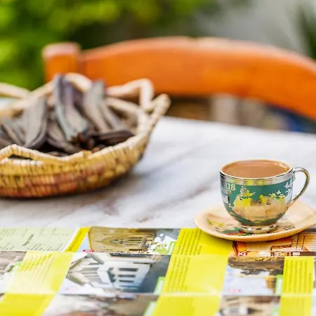 Cypriot Swallow Boutique