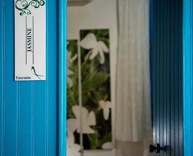 Cypriot Swallow Boutique Frühstückspension Nikosia